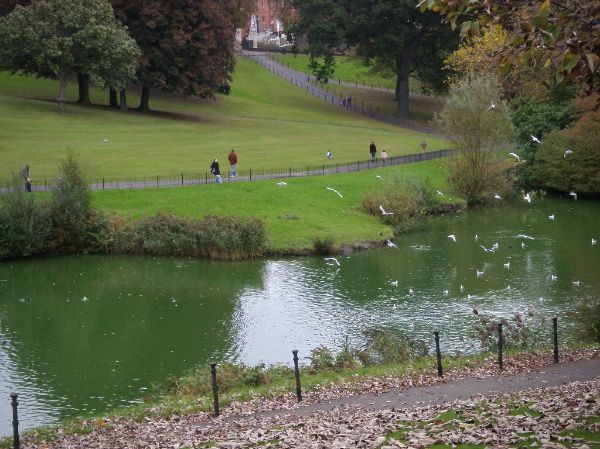 Album - Phoenix Park