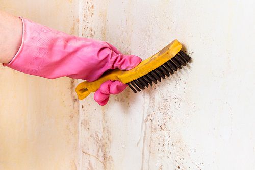 Benefits of Stain-Resistant Paint and Why You Need It