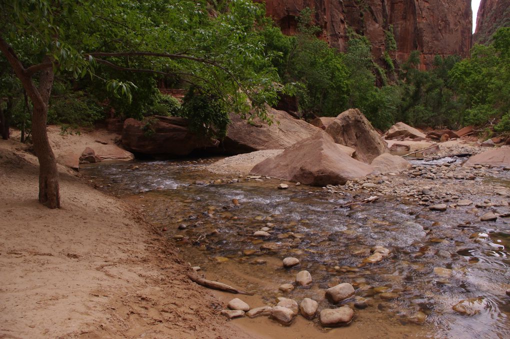 USA Road Trip - Jour 18/25 - Bryce Canyon National Park - Zion National Park