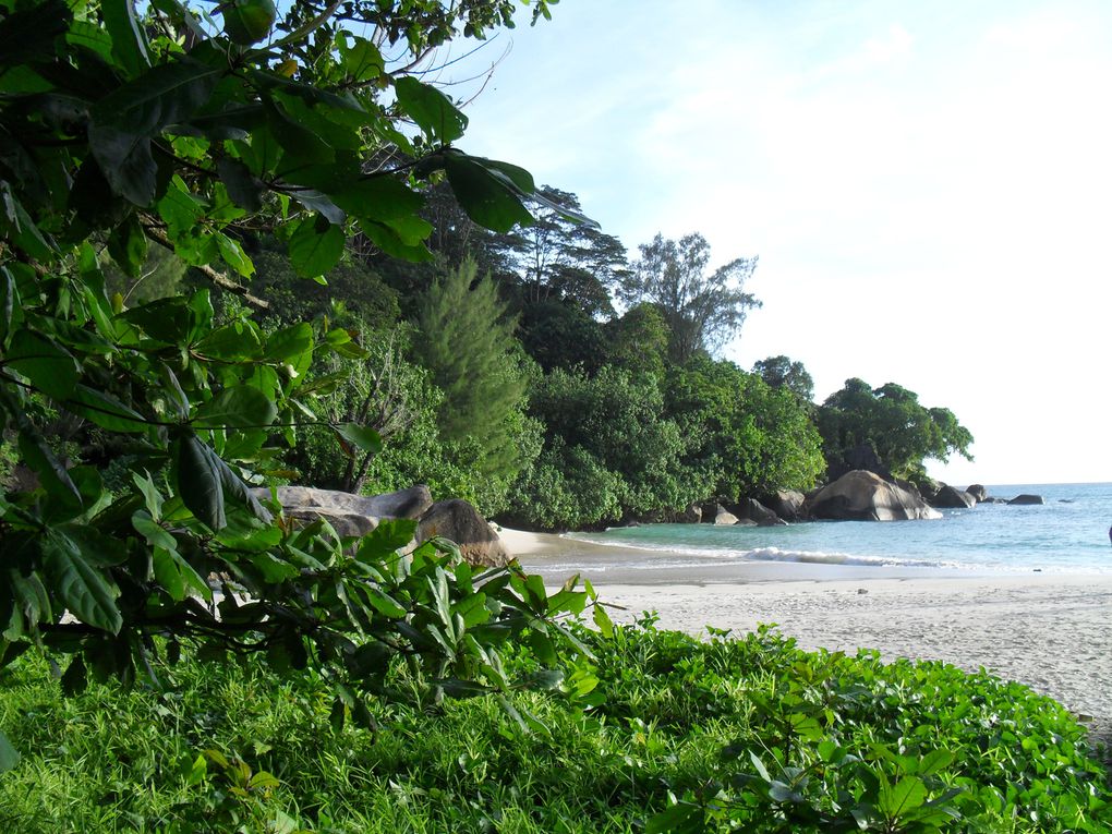 Quelque photo du voyage de mon frère au seychelles. Donner généreusement pour l'oeuvre de Dieu