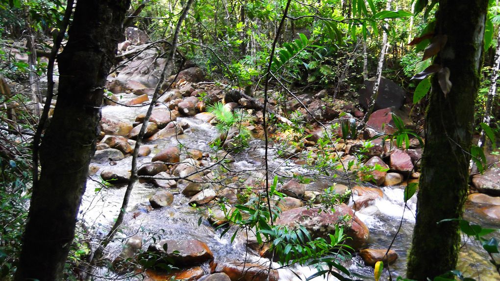 Album - Blackdown-Tabledown-et-Finch-Halton-Gorge-National-Park