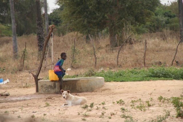 Album - Sine-Saloum-Senegal