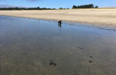 11 septembre 2018 : côte sauvage