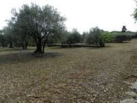 Balade dans la Provence ancienne, Draguignan, Figagnières, Chateaudouble et Ampus le 25 Juin