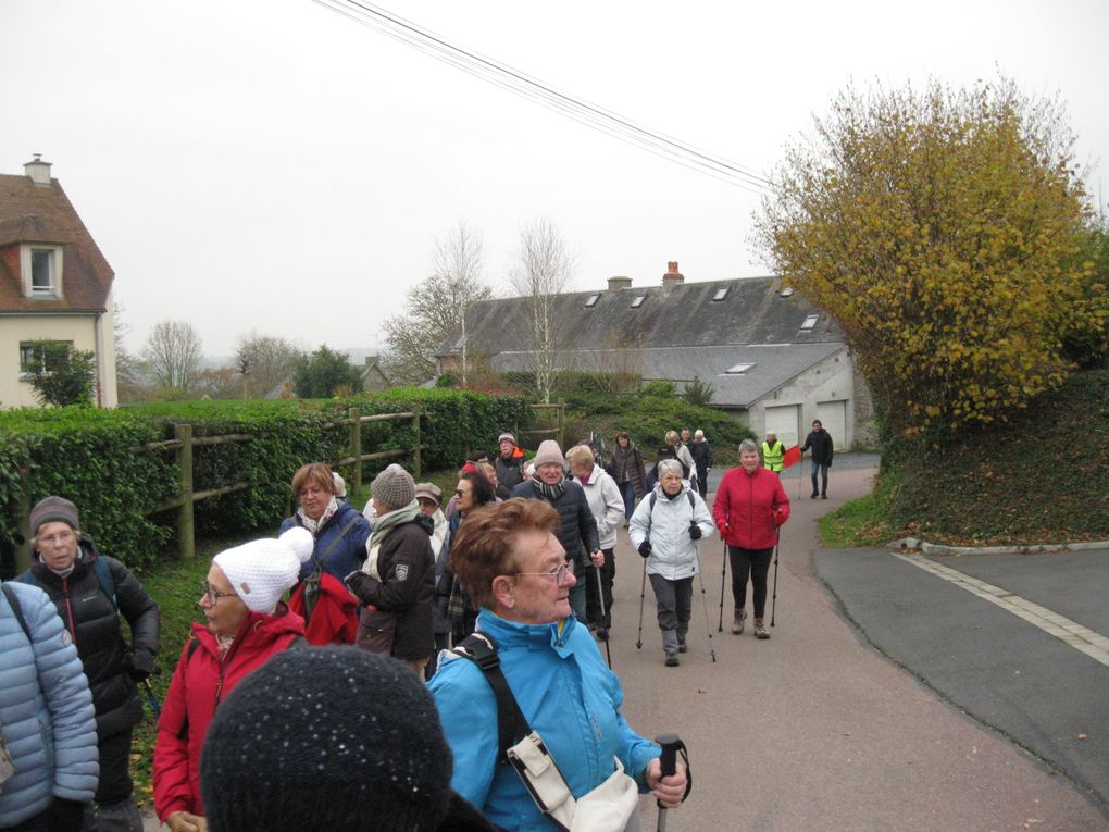 Promenons nous dans les bois... 