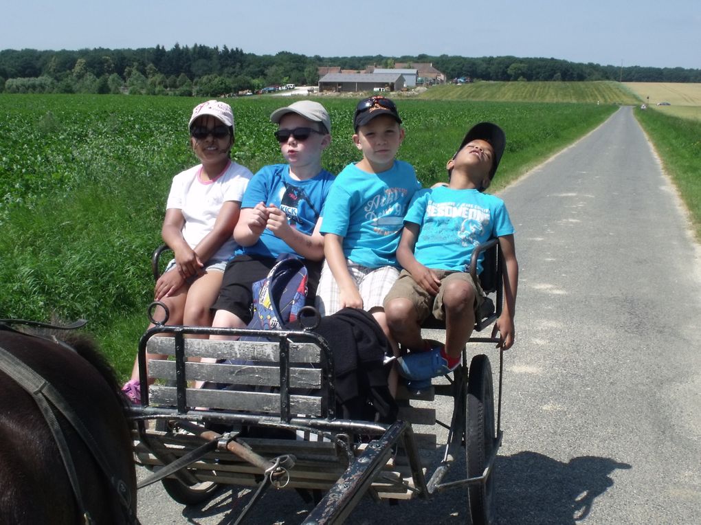 Mini-séjour de 3 jours à la Ferme de la mercy à Chenoise.
11 enfants et 2 animatrices.
Au programme : parcours animalier, fabrication du pain, tonte des moutons et parcours en calèche.