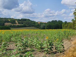 Balade autour du village #16