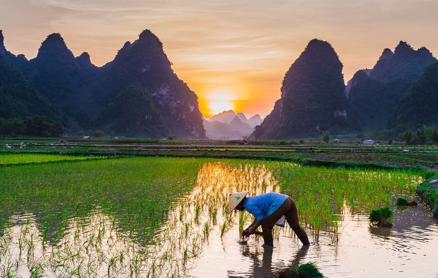 L’économie du Vietnam.