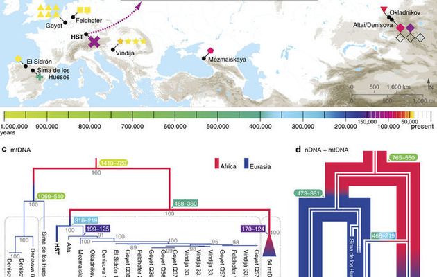 Des Homo Sapiens auraient tenté une première Sortie d'Afrique avant de disparaitre, il y a 220 000 ans