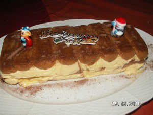 Bûche tiramisu glaçé