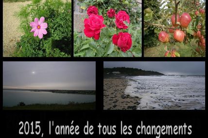 2015, l'année de tous les changements