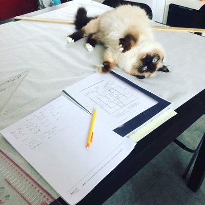 Journal de bord d'une couturière amatrice