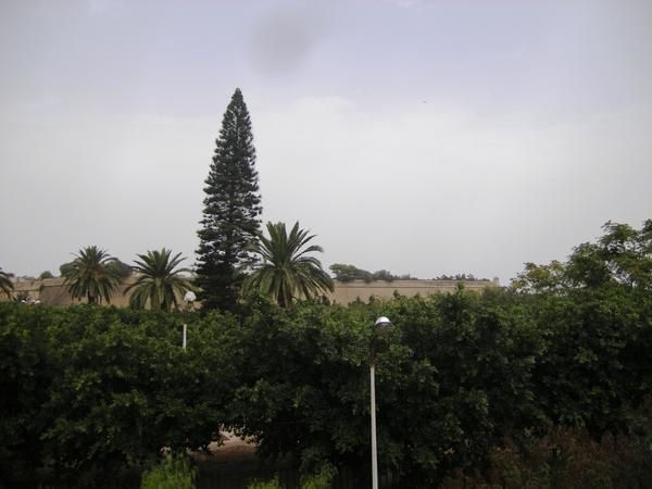 <p>Quelques photos de nos ballades en Alg&eacute;rie,</p>
<p>Par ordre, d&eacute;couverte de la Casbah d'Alger, Tamesguida et Tibhirine dans la Wilaya de M&eacute;d&eacute;a au sud d'Alger dans l'atlas alg&eacute;rien et de Tipaza (site de&nbsp;ruines romaines)&nbsp;&agrave; l'est d'Alger.</p>
<p>&nbsp;</p>
<p>&nbsp;</p>