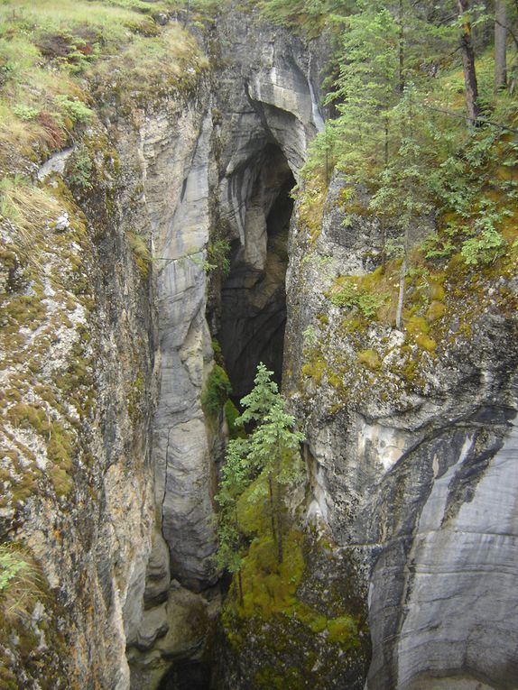 Séjour à Kelowna, Colombie-britanique, puis road-trip dans les parcs nationaux de Banff et Jasper, et visite de Vancouver