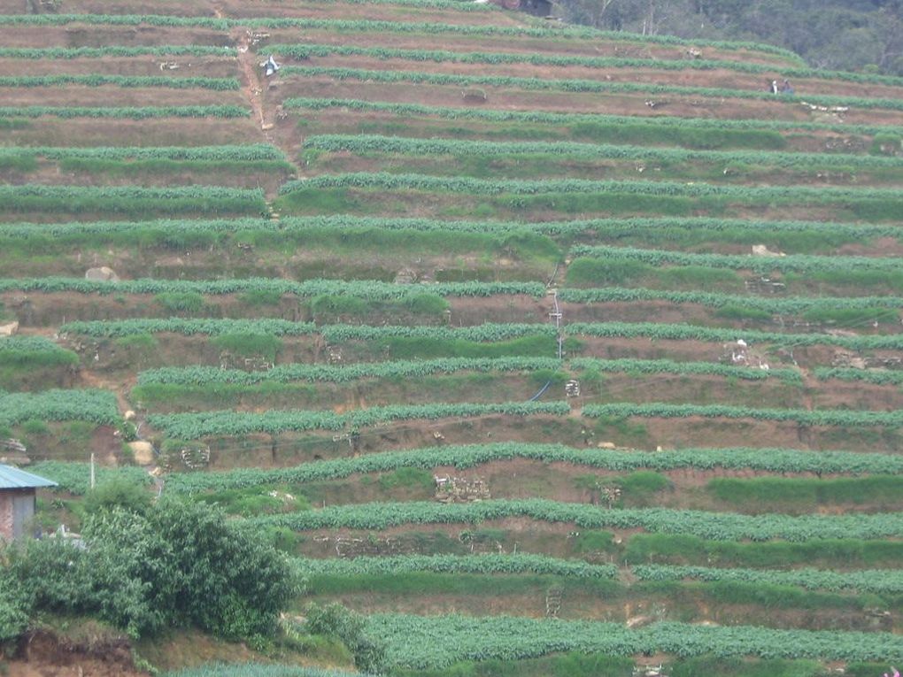 Album - Sri-Lanka