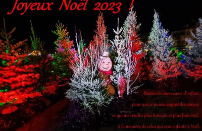 Joyeux Noël 2023 !