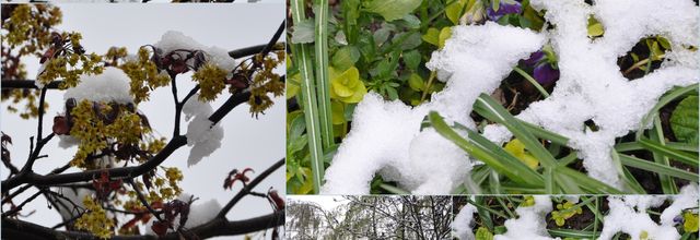 C'est l'hiver ???