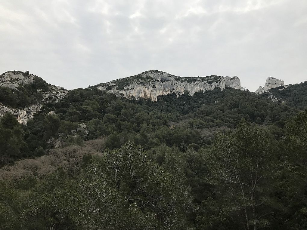 St Rémy de Provence Le 27 03 2022 Animateur Didier V