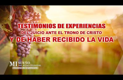 Testimonios de experiencias del juicio ante el trono de Cristo y de haber recibido la vida