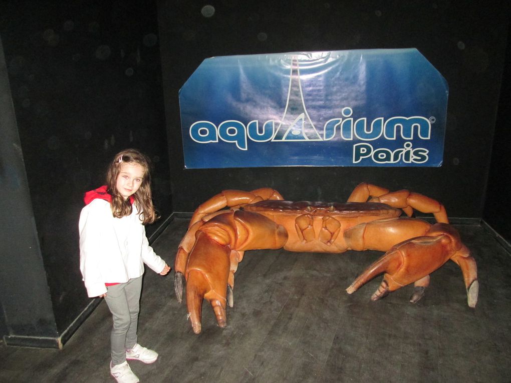 Photos à l'Aquarium de Paris 