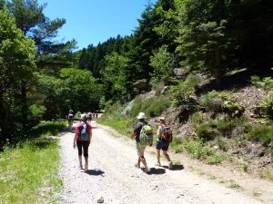Les mille marches Langlade Juin 2016
