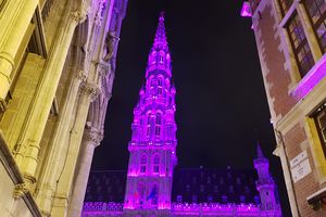 Flâner à BRUXELLES