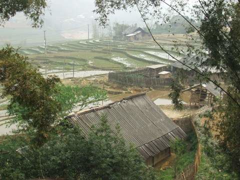 Album - Vietnam 2010 / SAPA