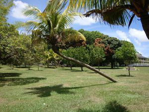 Jardin des Pamplemousses et Port Louis