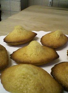 MADELEINES AU MIEL