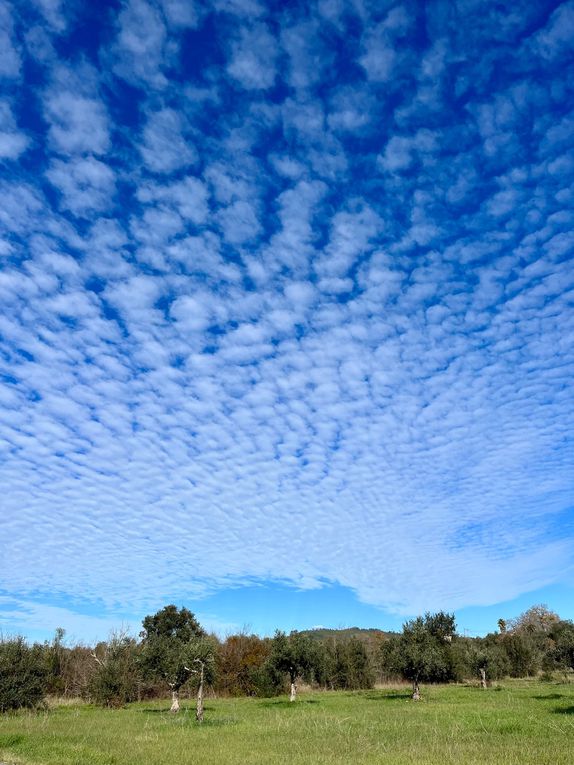 La nature est belle et notre ciel d’aujourd’hui magnifique 