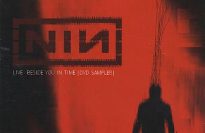 NIN Beside You in Time (DVD)