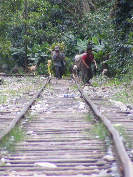 Album - Peru