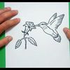 Como dibujar un colibri paso a paso