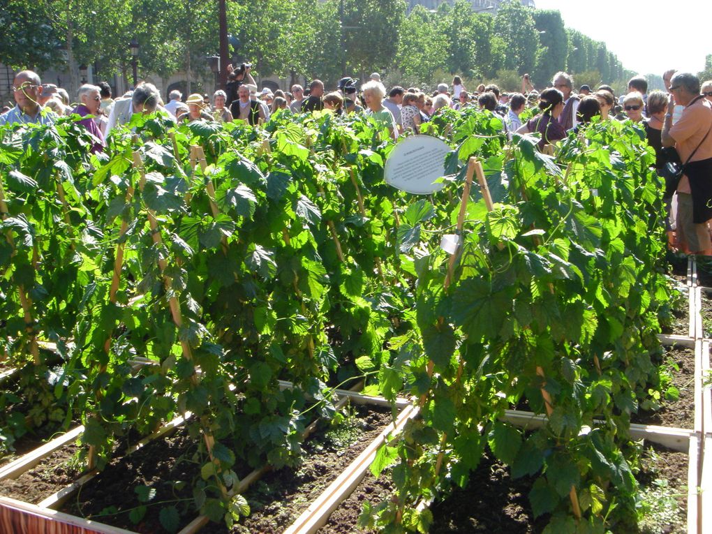 Festival de la nature week-end de la pentecôte, photos prises lundi 24 mai entre 9h30 et 11h !