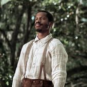 The birth of a nation - artetcinemas.over-blog.com