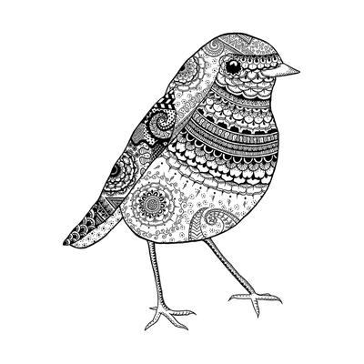 DEUX CARTES OISEAUX ZENTANGLE