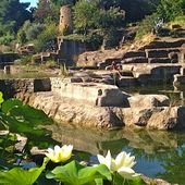 Le Jardin de Saint-Adrien - Hérault - Jardins merveilleux