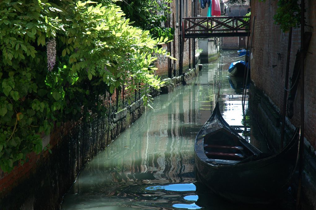 Album - Venise Eaux et Canaux