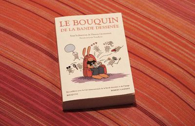 Le bouquin de la bande dessinée (35)