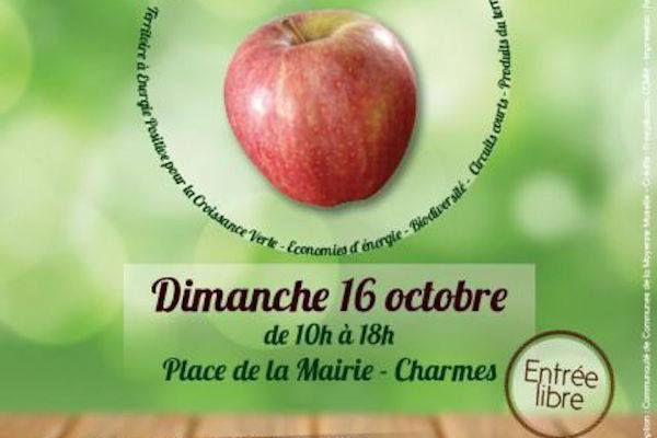 Jérome Manel à la Fête de la Pomme