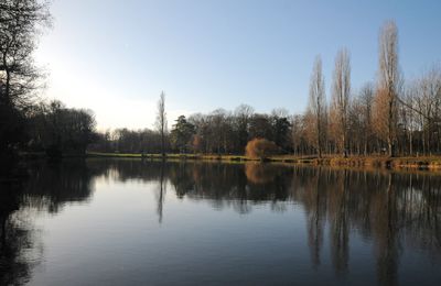 Etang de Boulogne