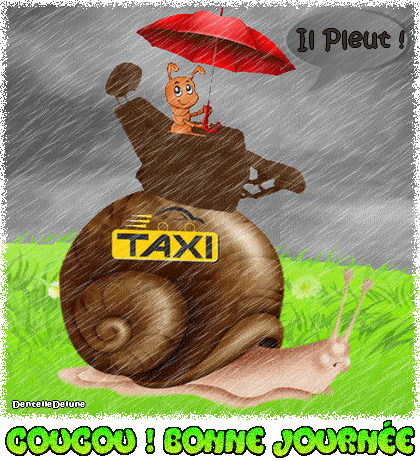 Il pleut avec escargot taxi et petite fourmi animés - les gifs animés de  dentelledelune