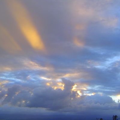 CLAUDINE VOISIN  Artiste Peintre