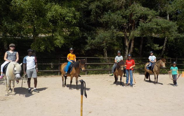 Un après-midi avec les poneys