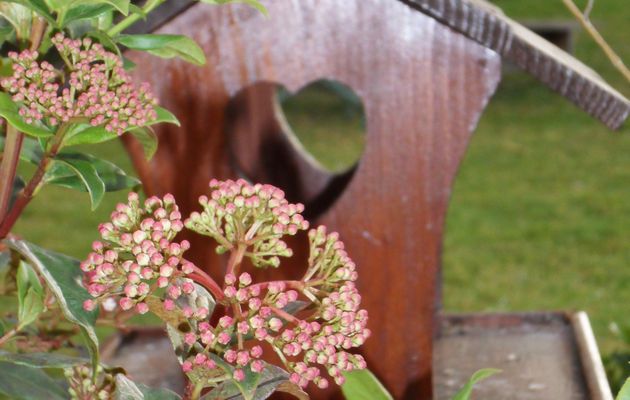 Pose dominicale au jardin