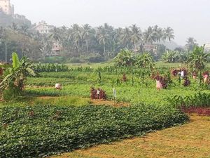 Périple en Inde 16