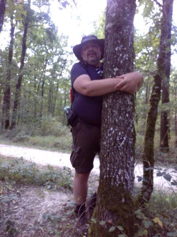 L'homme qui embrasse les arbres 