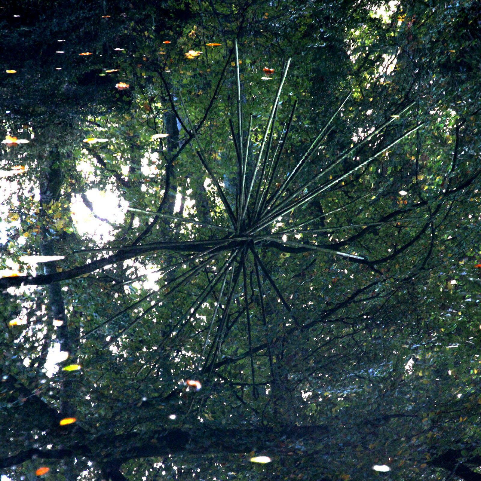 Lorient au Parc Chevassu - Mercredi 3 novembre 2021