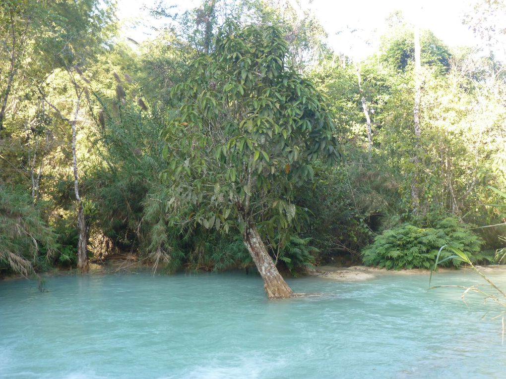 Et voilà les photos du Laos. Comme vous pourrez le voir, les paysages sont variés et nombreux