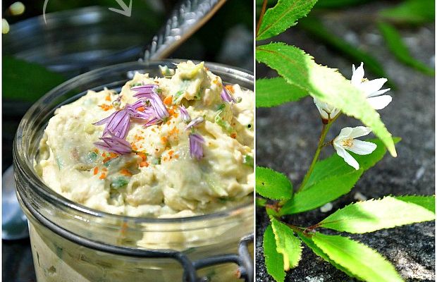 Rillettes de thon, avocat, avocat et herbes du jardin